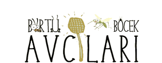 börtü böcek avcıları logo